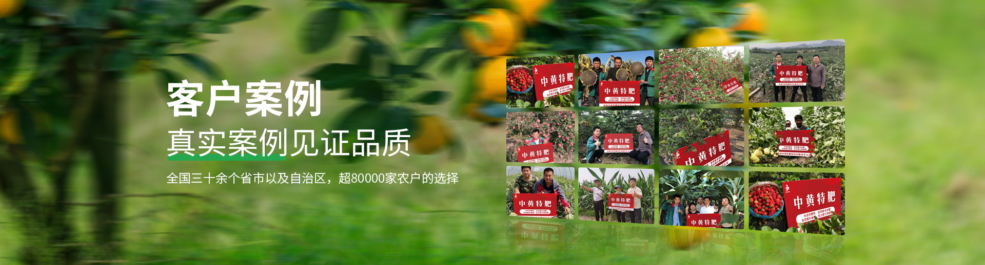 水溶肥料-大量元素水溶肥-含氨基酸水溶肥料-高塔复合肥-水溶肥生产厂家-河南中黄特肥科技有限责任公司