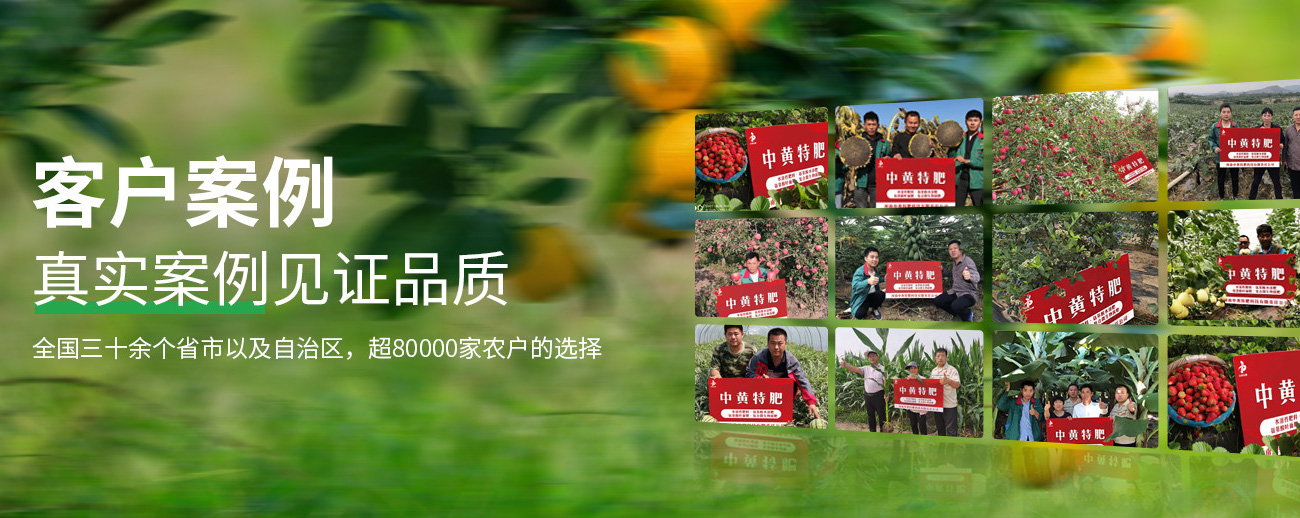 水溶肥料-大量元素水溶肥-含氨基酸水溶肥料-高塔复合肥-水溶肥生产厂家-河南中黄特肥科技有限责任公司