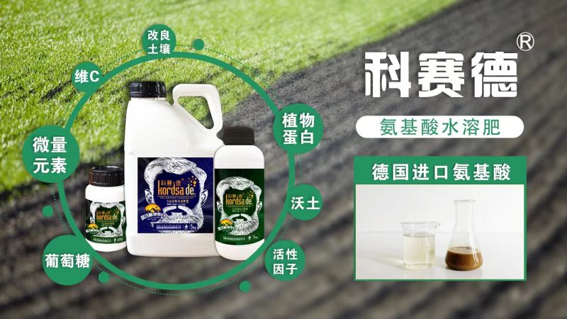 施用使用叶面肥有哪些好处？叶面肥哪个厂家的效果好？