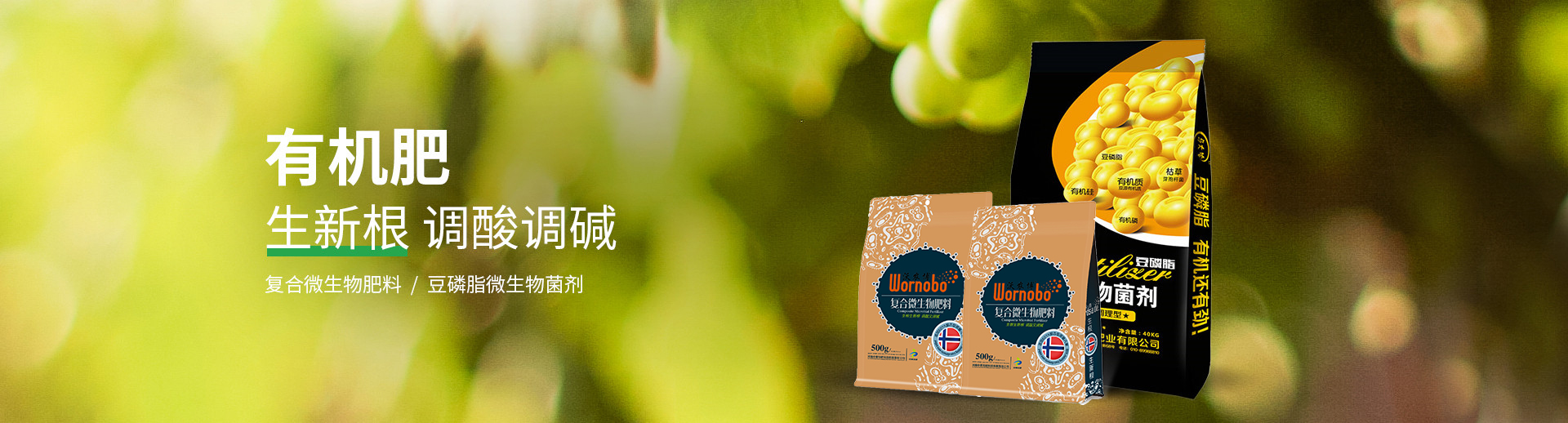 水溶肥料-大量元素水溶肥-含氨基酸水溶肥料-高塔复合肥-水溶肥生产厂家-河南中黄特肥科技有限责任公司